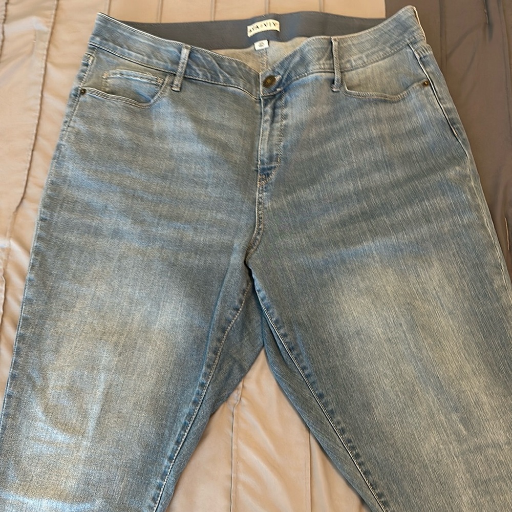 Women’s Plus Skinny Jeans, Ava & Viv, 20W